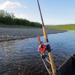Fishing Rods Review