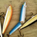Fishing for Bass with Electronic Lures