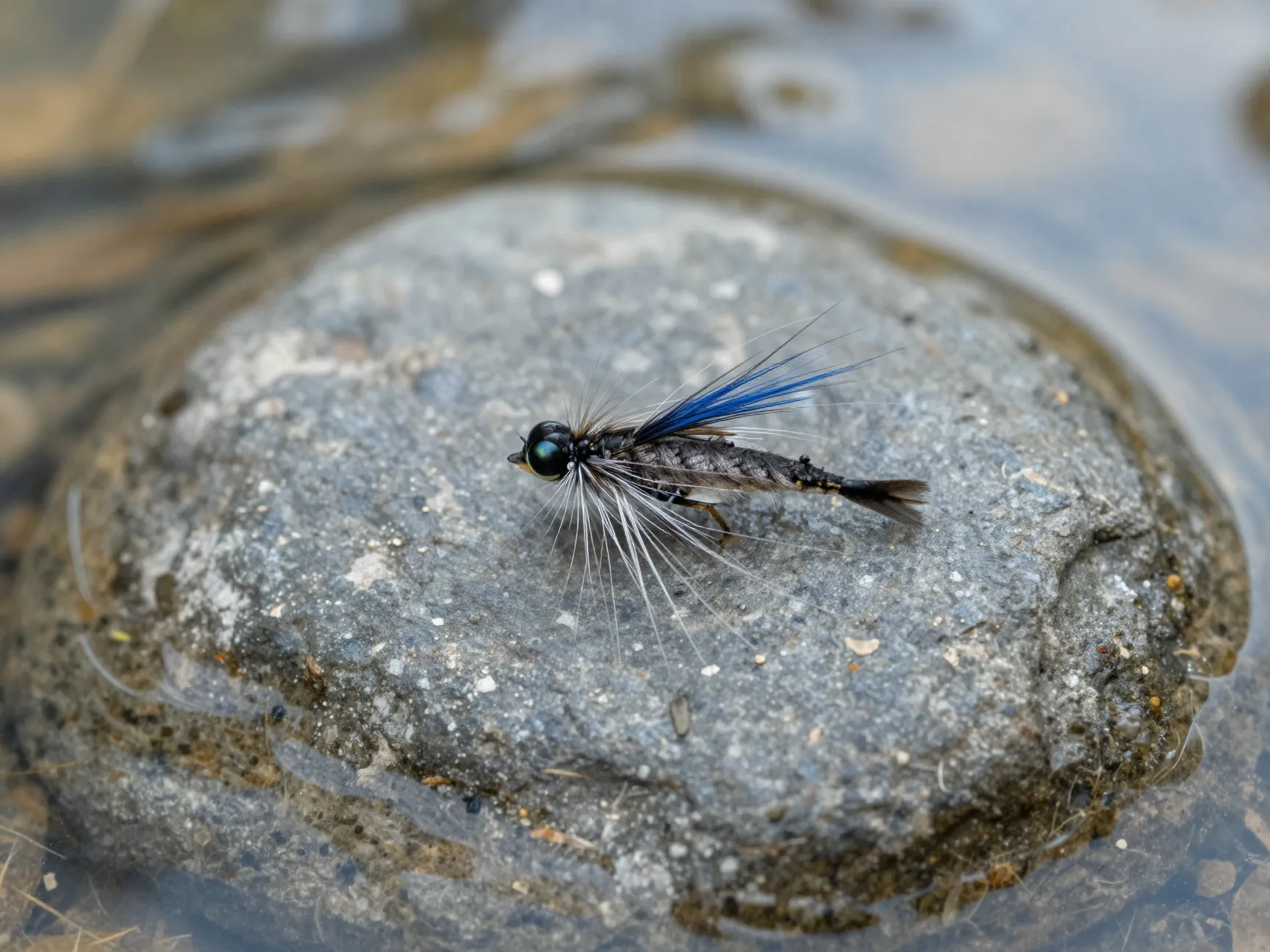 Blue charm