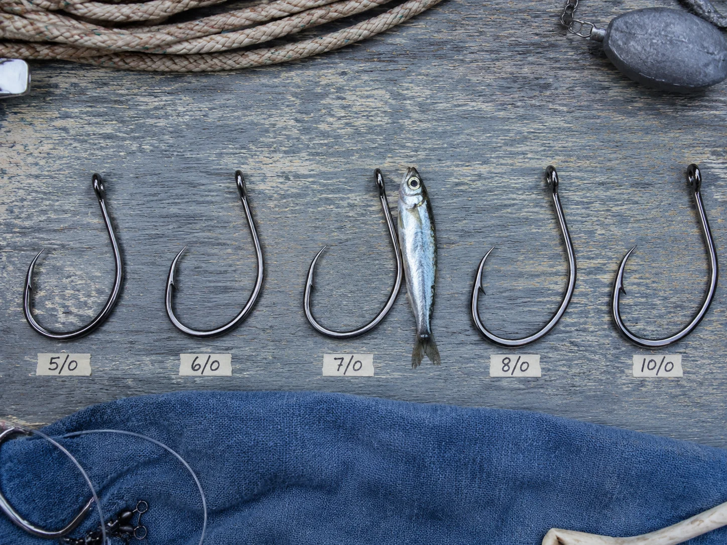 5 circle hooks in appropriate sizes