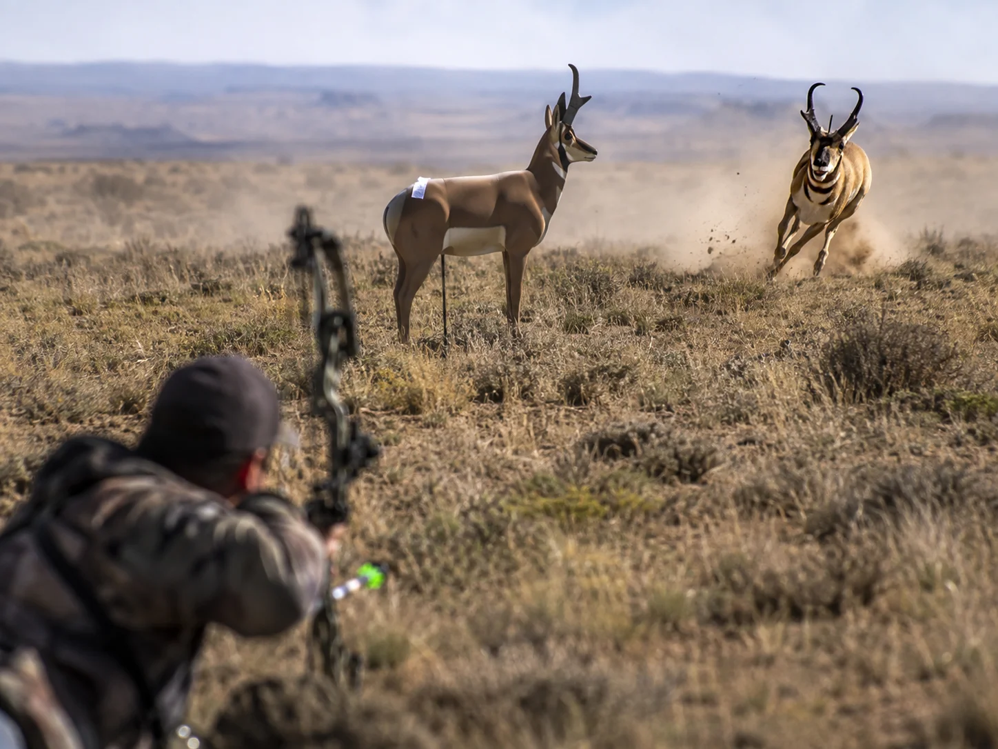 6 use decoys during the rut for aggressive bucks