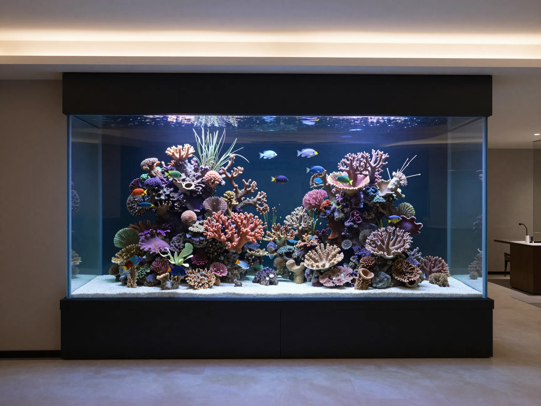 The statement wall mounted reef