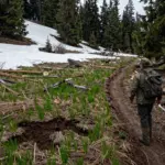 9 Bear Hunting Strategies for the Ultimate Predator Challenge