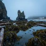 8 Ways To Embrace The Ocean Core Aesthetic In Your Coastal Adventures