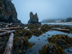 Read more about the article 8 Ways To Embrace The Ocean Core Aesthetic In Your Coastal Adventures