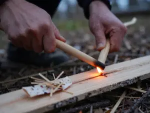 Read more about the article 8 Critical Skills for Surviving in the Wild When Everything Goes Wrong