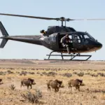 9 Wild Pig Hunting Tactics for Controlling Destructive Predators