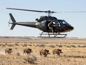 Read more about the article 9 Wild Pig Hunting Tactics for Controlling Destructive Predators