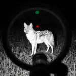 9 Essential Coyote Hunting Tips for Predator Control and Success