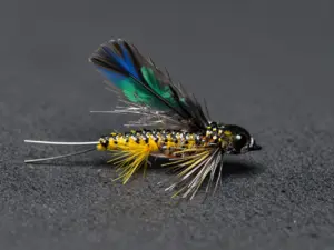 Read more about the article 8 Best Atlantic Salmon Flies for Saltwater Fly Fishing