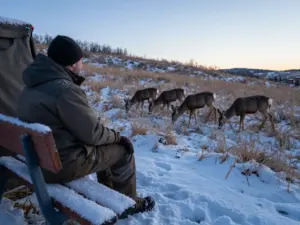 Read more about the article 9 Western Hunting Tactics for Mule Deer, Elk, and Pronghorn Antelope