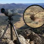 9 Must-Have Elk Hunting Gear Items for Spotting and Stalking Predators