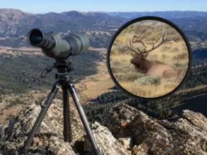 Read more about the article 9 Must-Have Elk Hunting Gear Items for Spotting and Stalking Predators