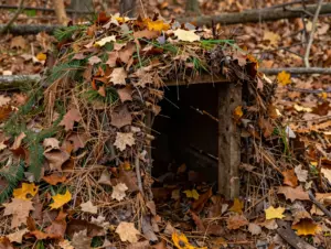 Read more about the article 9 Primitive Survival Shelters You Can Build With Just a Knife